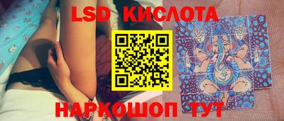 гашик Гатчина