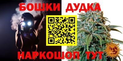гашик Гатчина