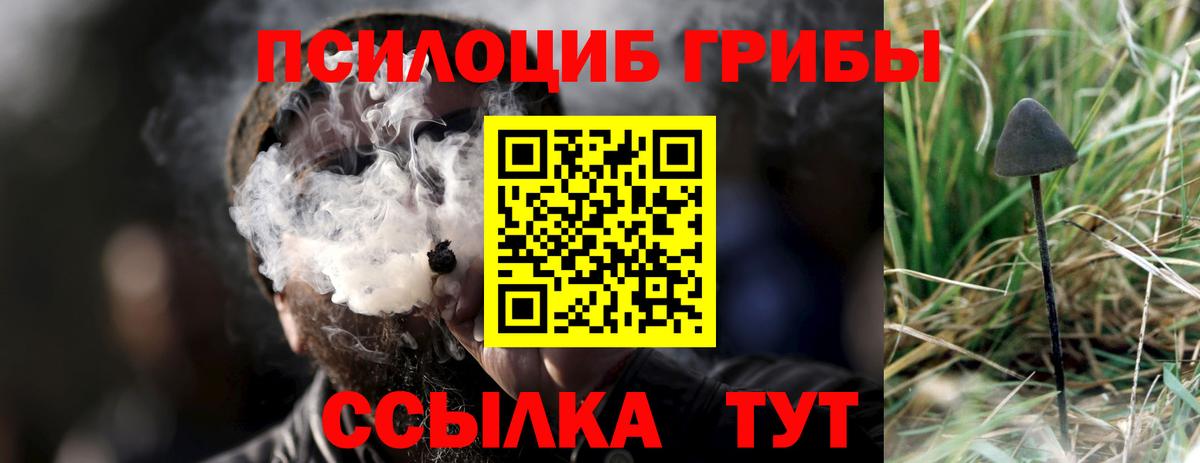 Галлюциногенные грибы GOLDEN TEACHER  Вход с VPN  Горно-Алтайск  Псилоцибиновые грибы Magic Shrooms 