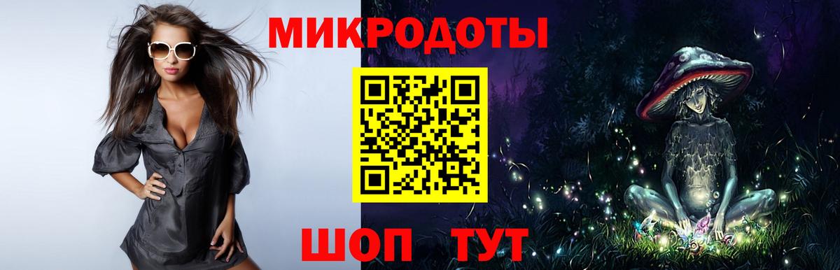 Псилоцибиновые грибы Psilocybe Горно-Алтайск